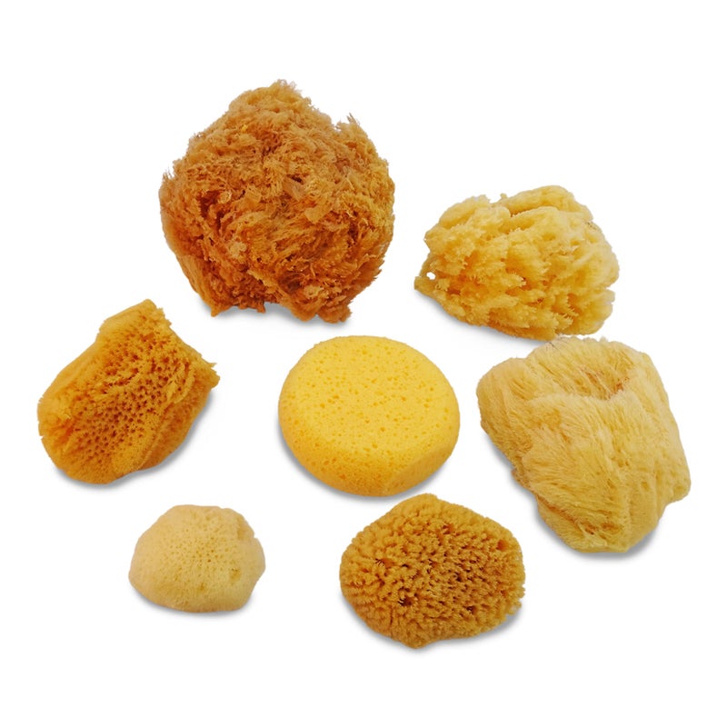 Lullingworth Natural Sea & Synthetic Sponges - Assorted Sizes 7pc Value Pack for Crafts & Artists: Great for Painting, Hobbies, Art, Effects, Ceramics, Clay, Pottery by LullingworthÂ® - Image 3